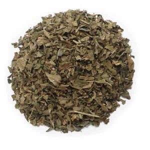Planta Bolsa Llanten