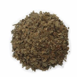 Planta Bolsa Nogal Hojas.