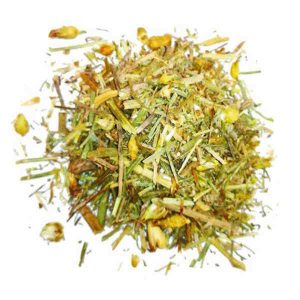 Planta Bolsa Travalera.