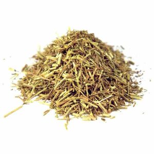 Planta Bolsa Verbena.