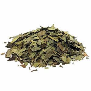 Planta Bolsa Boldo