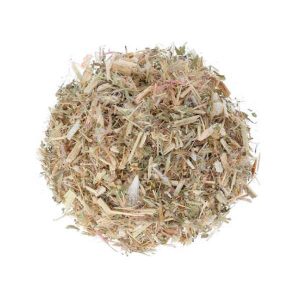 Planta Bolsa Cardo Santo.