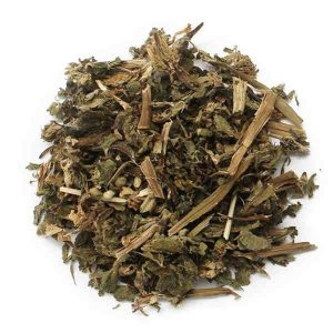 Planta Bolsa Ortiga Blanca.