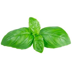 GRANADO PLANTA BOLSA ALBAHACA (P)