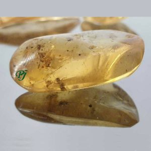 Rodado Copal Con Insectos - Promineral