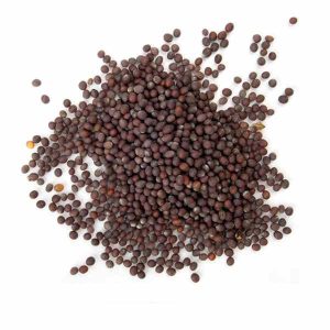 GRANADO ESPECIAS BOLSA MOSTAZA ROJA 50 GR