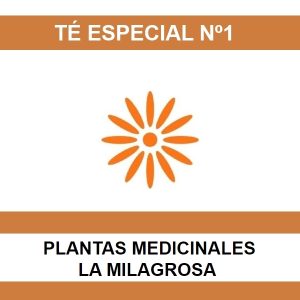 Te Especial Nº01 - La Milagrosa