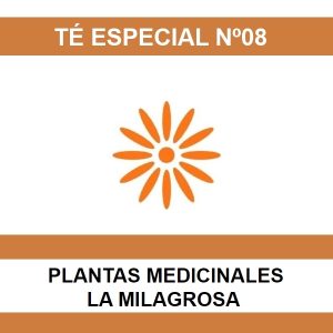 Te Especial Nº08 - La Milagrosa