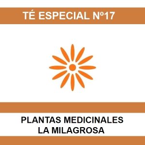 Te Especial Nº17 - La Milagrosa