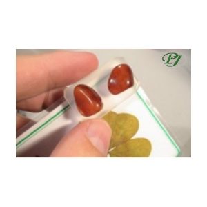 Pendientes Horoscopo Leo - Promineral