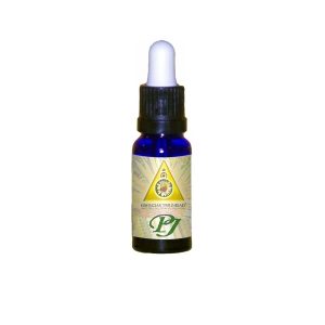 Esencia Abrontano Macho Luz 15Ml - Triunidad