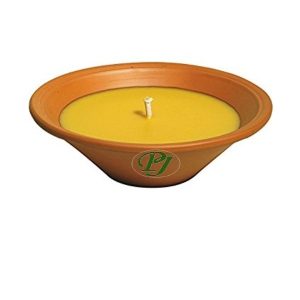 MACETA TERRACOTA GRANDE CITRONELA ROU.