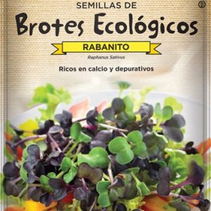 Semillas ecológicas de brotes de rabanito Batlle