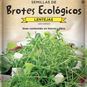 Semillas ecológicas de brotes de lenteja Batlle