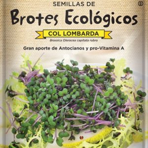 Semillas ecológicas de brotes col lombarda Batlle