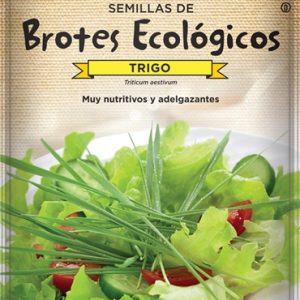 Semillas ecológicas de brotes de trigo  Batlle