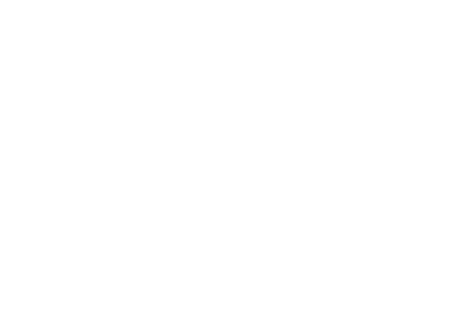 Logo Centro Dietético del Sur